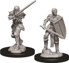 Human Fighter - Female - 73705 - D&D Nolzur's Marvelous Miniatures